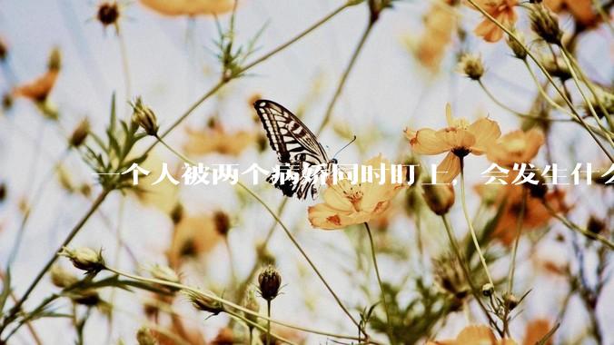 一个人被两个病娇同时盯上，会发生什么?