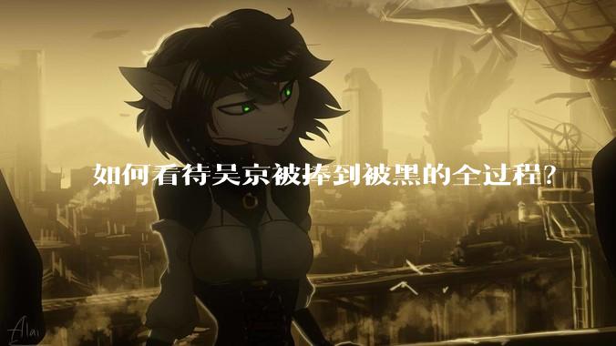 如何看待吴京被捧到被黑的全过程？